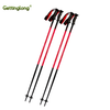 Wholesale Custom Logo stick ski poles walking stick Light tough