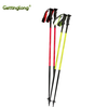 Wholesale Custom Logo stick ski poles walking stick Light tough
