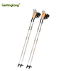 Chinese factory sells high-quality lightweight ski poles
